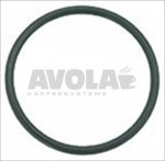 O-RING Dichtung 02093 EPDM